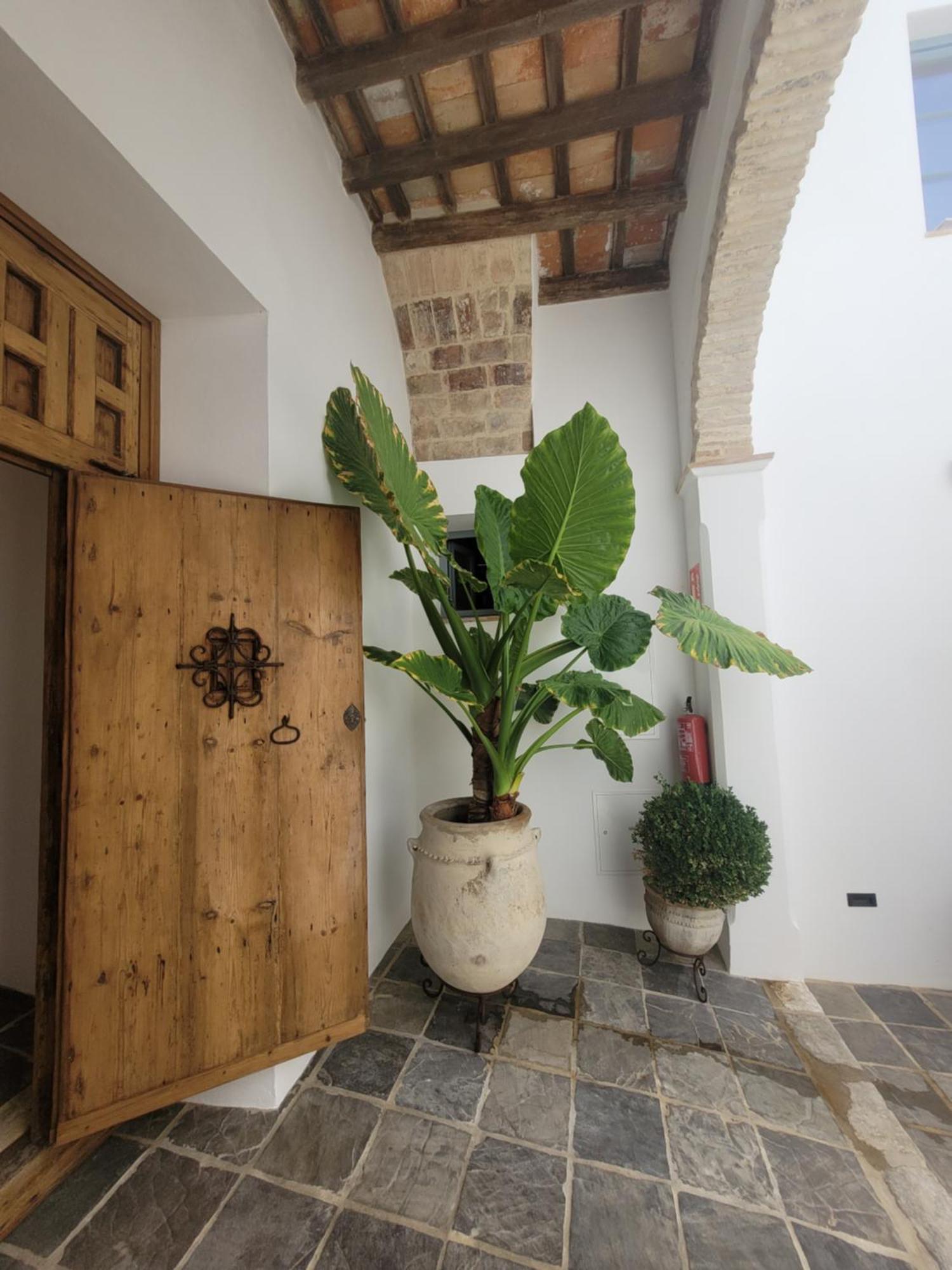 Casa Del Museo - Agua Apartment Medina-Sidonia Ngoại thất bức ảnh